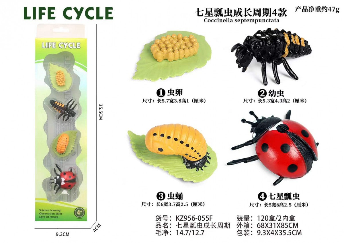 KZ956-055F Ladybug Life Cycle Montessori Set – Educational Science Learning Toy for Kids