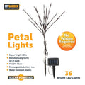 Garden Solar Powered Petal Lights Bright White 71cm 36 LED 1054