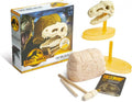 93-0046 Jurassic World Dominion T-Rex Dino Skull Dig