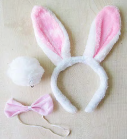 Wickedfun 3 Piece White PINK Bunny Set