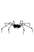 Fur Spider