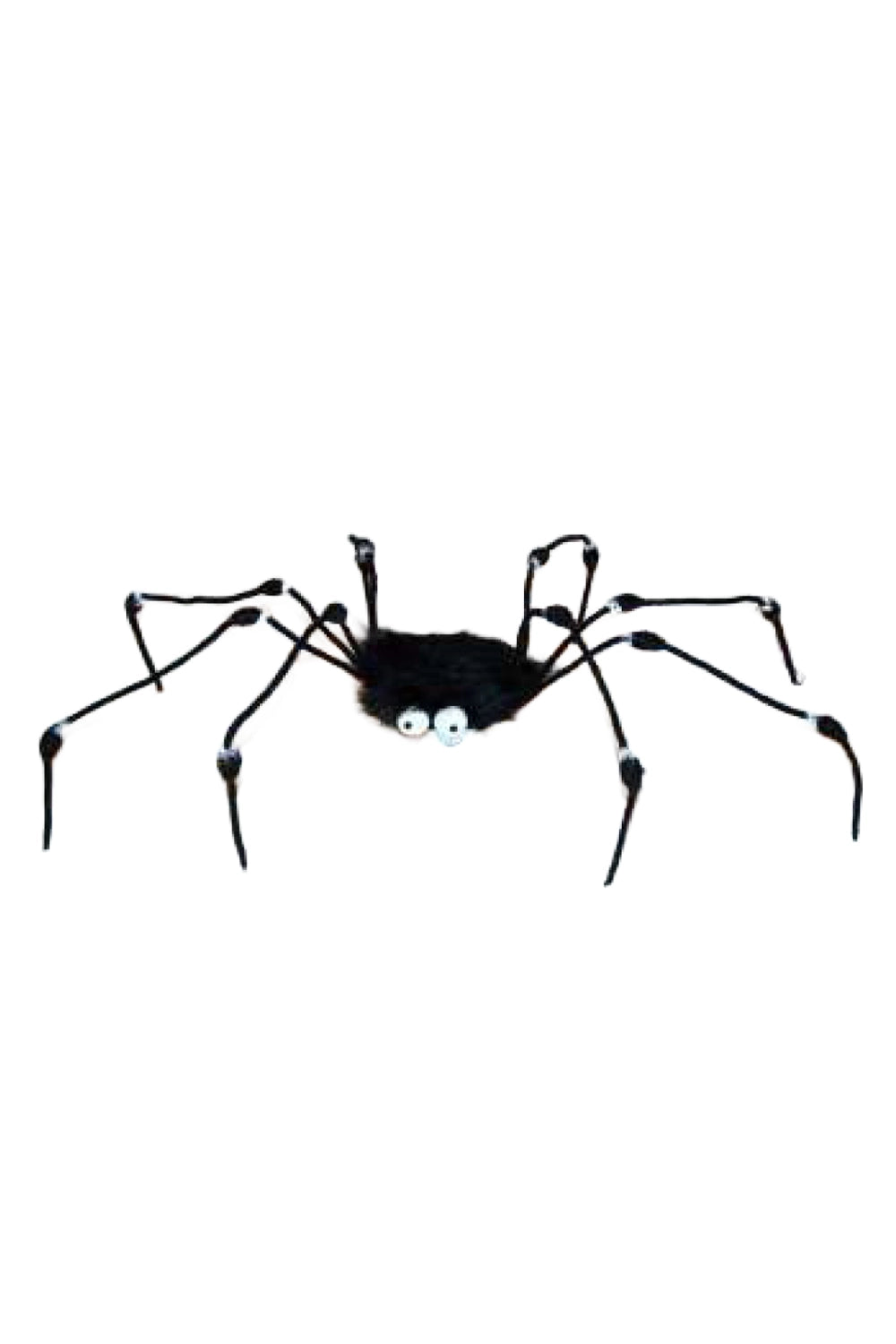 Fur Spider