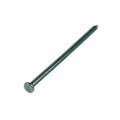 Value Pack Round Wire Nails 100mm 250g DIY 0537