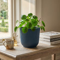 Flower Pot Assorted Colours 20x22x22cm 331g SKU 8234