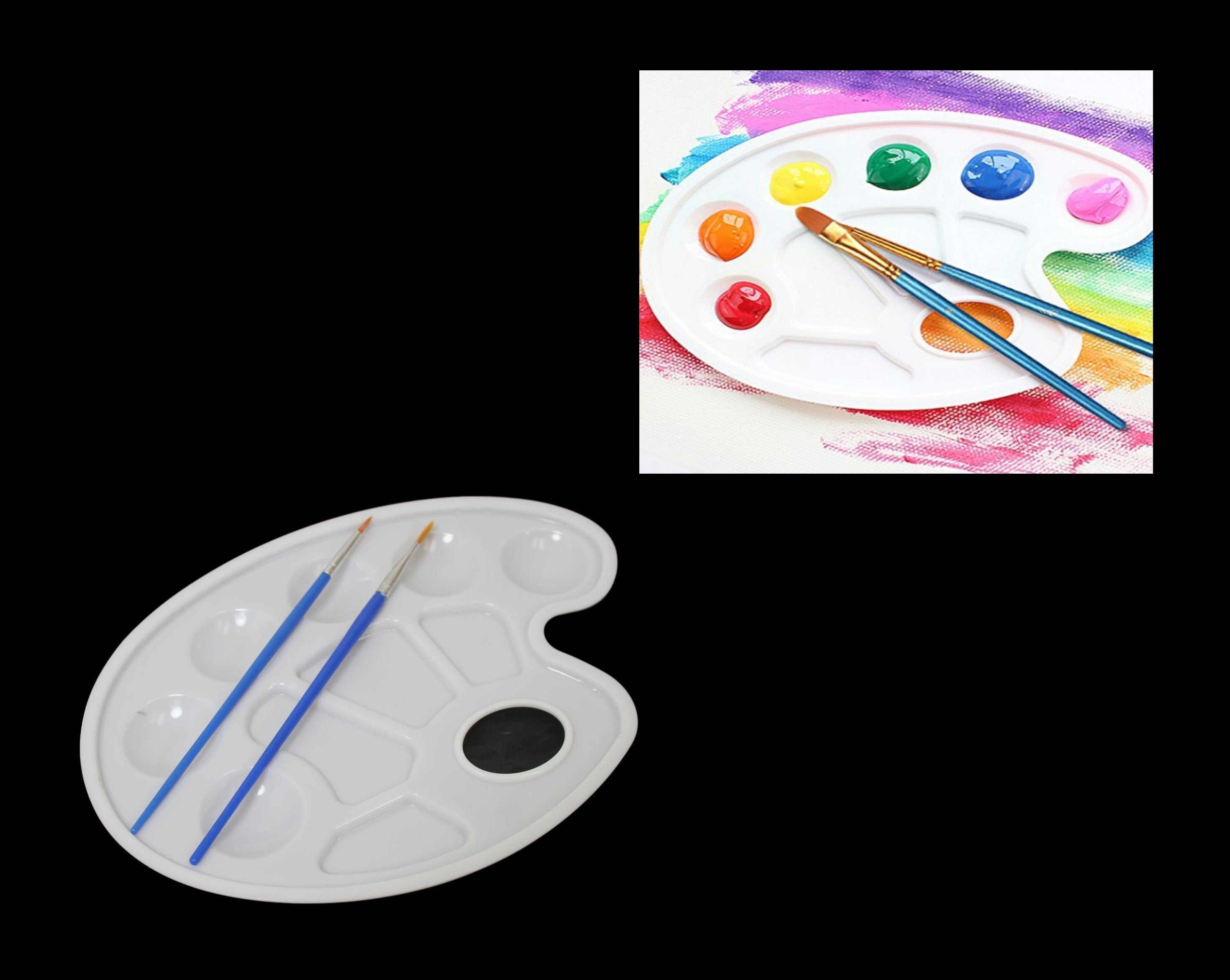 Artist Painting Palate Paint Mixer White Painting Plate With 2 Brushes 23 x 17 cm  6087