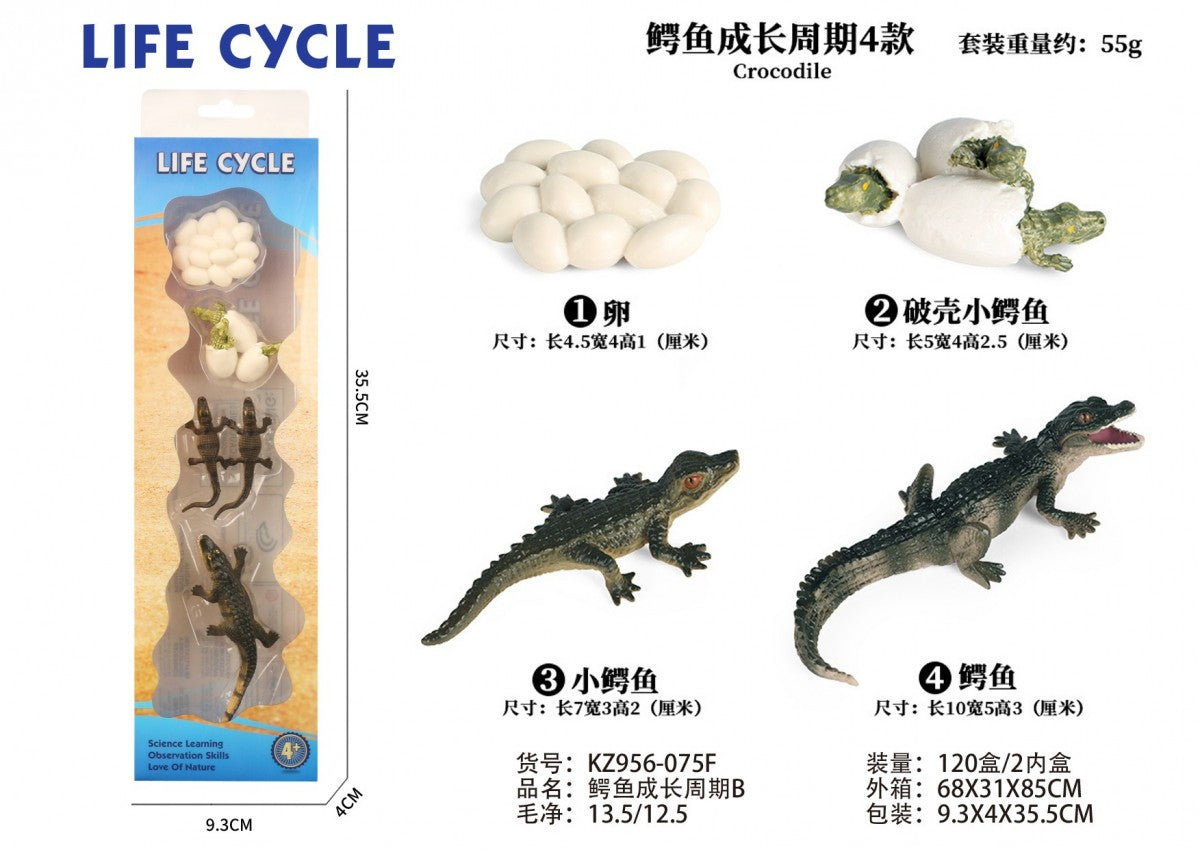 KZ956-075F Crocodile Life Cycle Montessori Set – Educational Science Learning Toy for Kids