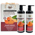 0805-31108 Ginger Nutrition Shampoo & Conditioner | Refreshing & Nourishing Hair Care TC-2382