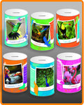Exotic Birds Money Tin 145mm x 110mm Assorted Designs EXT001 A