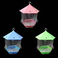 Hexagon Metal Bird Cage 26 x 30 cm Assorted Colours 1006