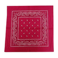 Hot Pink Paisley Bandana