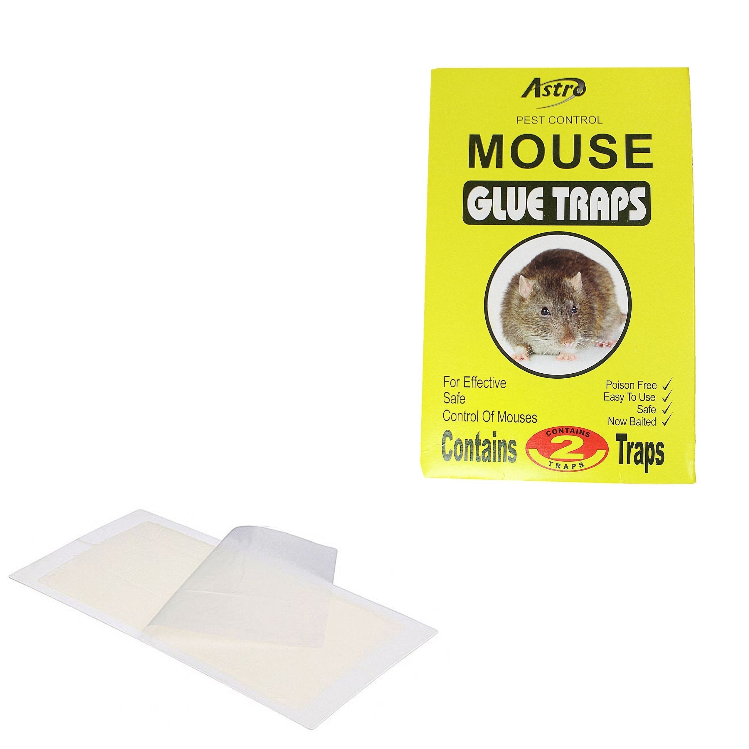 Sticky Rat Mouse Glue Trap Pack of 2 2545