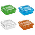 Plastic Mini Food Storage Container 250ml Assorted Colours BG388