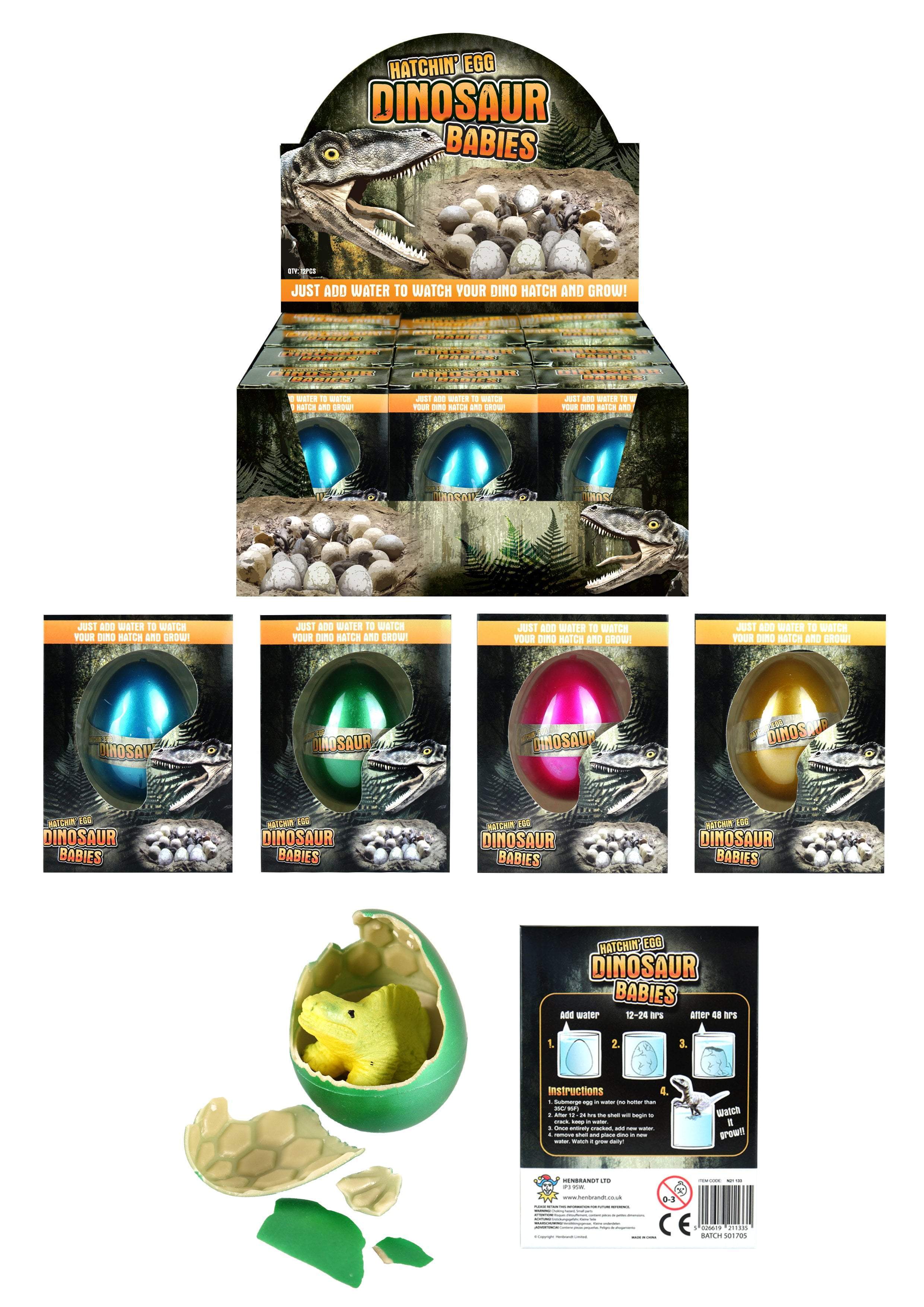 Kid's Hatching Dinosaur Baby Egg Assorted Colours N21133