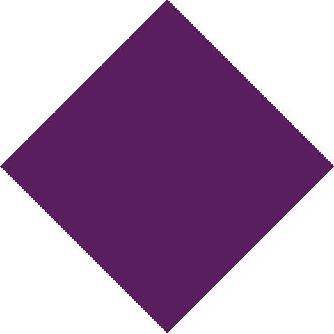 Purple Cotton Bandana