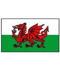 Wales Flag 5ft X 3ft