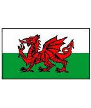 Wales Flag 5ft X 3ft