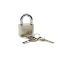 50mm World Ball Lock High Security With 3 Keys Chrome 0246 A