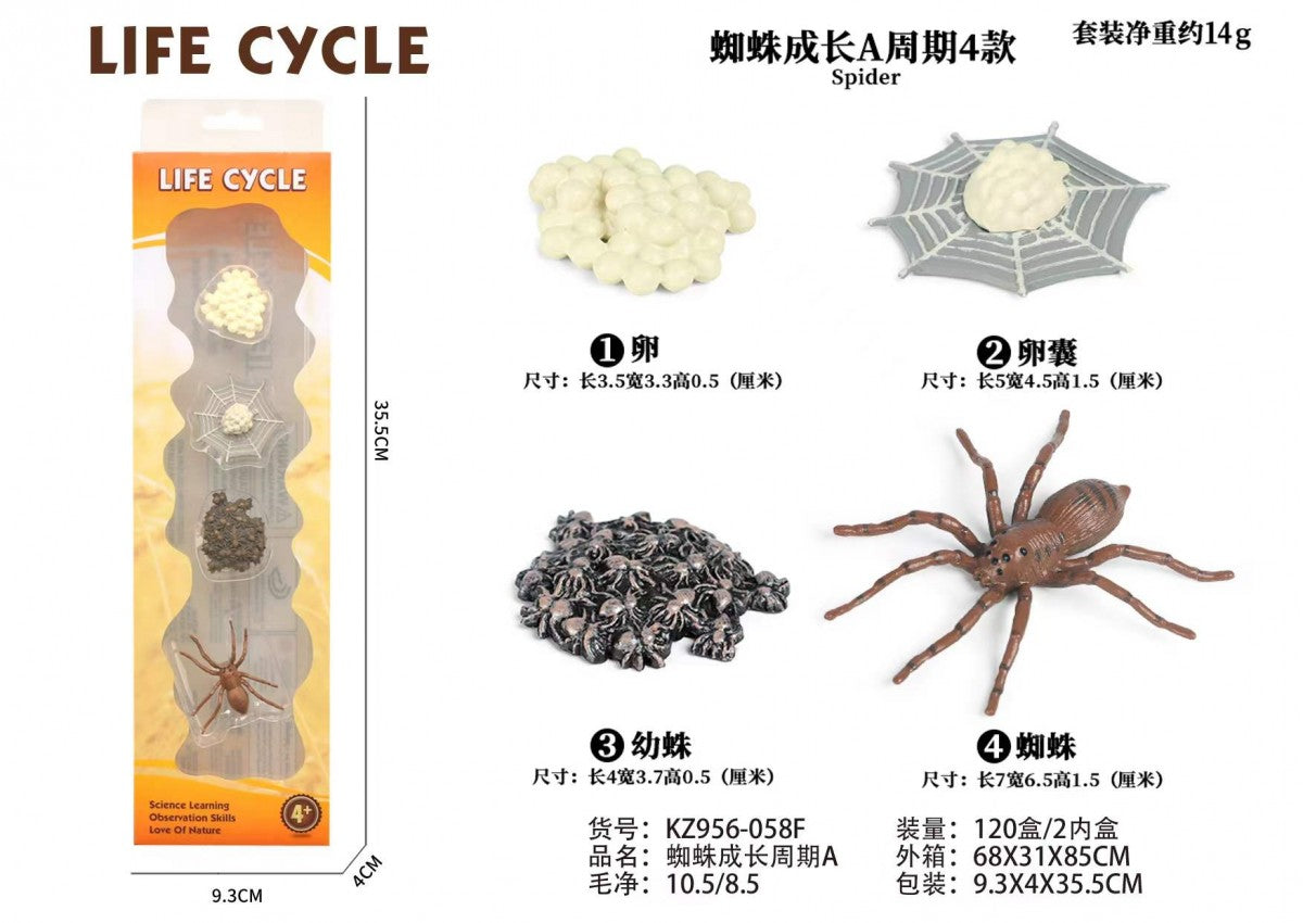 KZ956-058F Spider Life Cycle Montessori Set – Educational Science Learning Toy for Kids