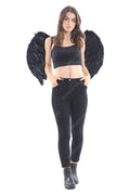 Black Feather Wings Medium(Folding)