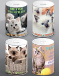 Cat Money Tin 100mm x 150mm Assorted Designs CAT001