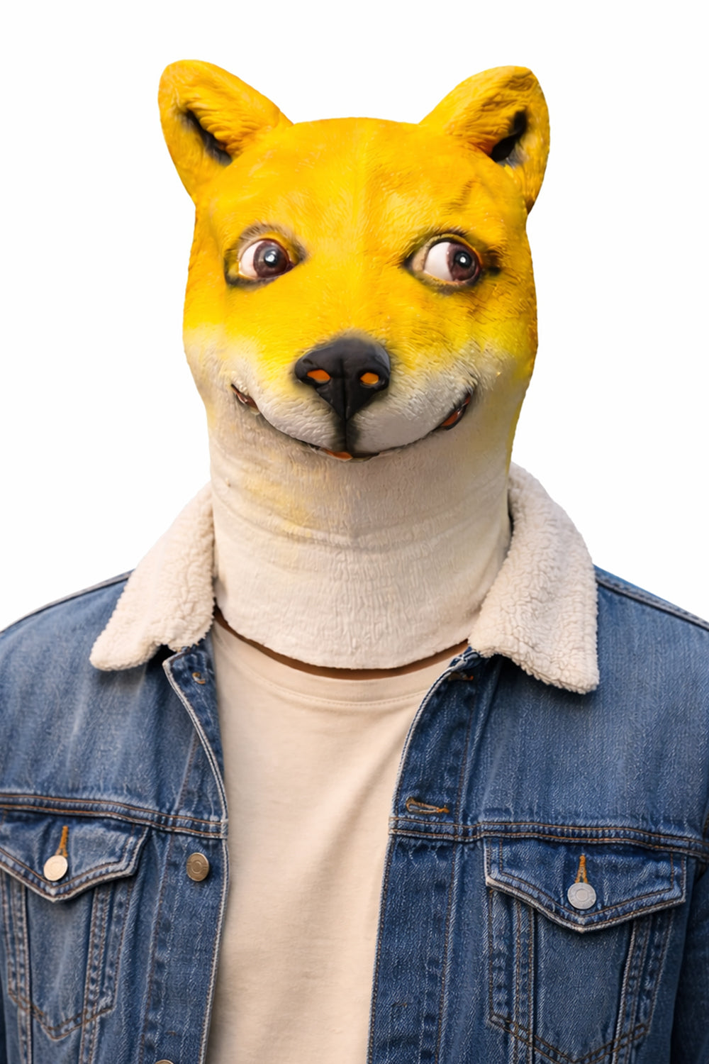 Dog Mask