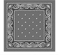 Grey Paisley Bandana