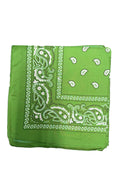 Lime Green Paisley Bandana