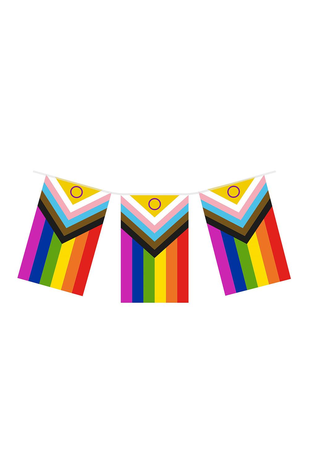 Pride Intersex Progress Bunting 4.5M