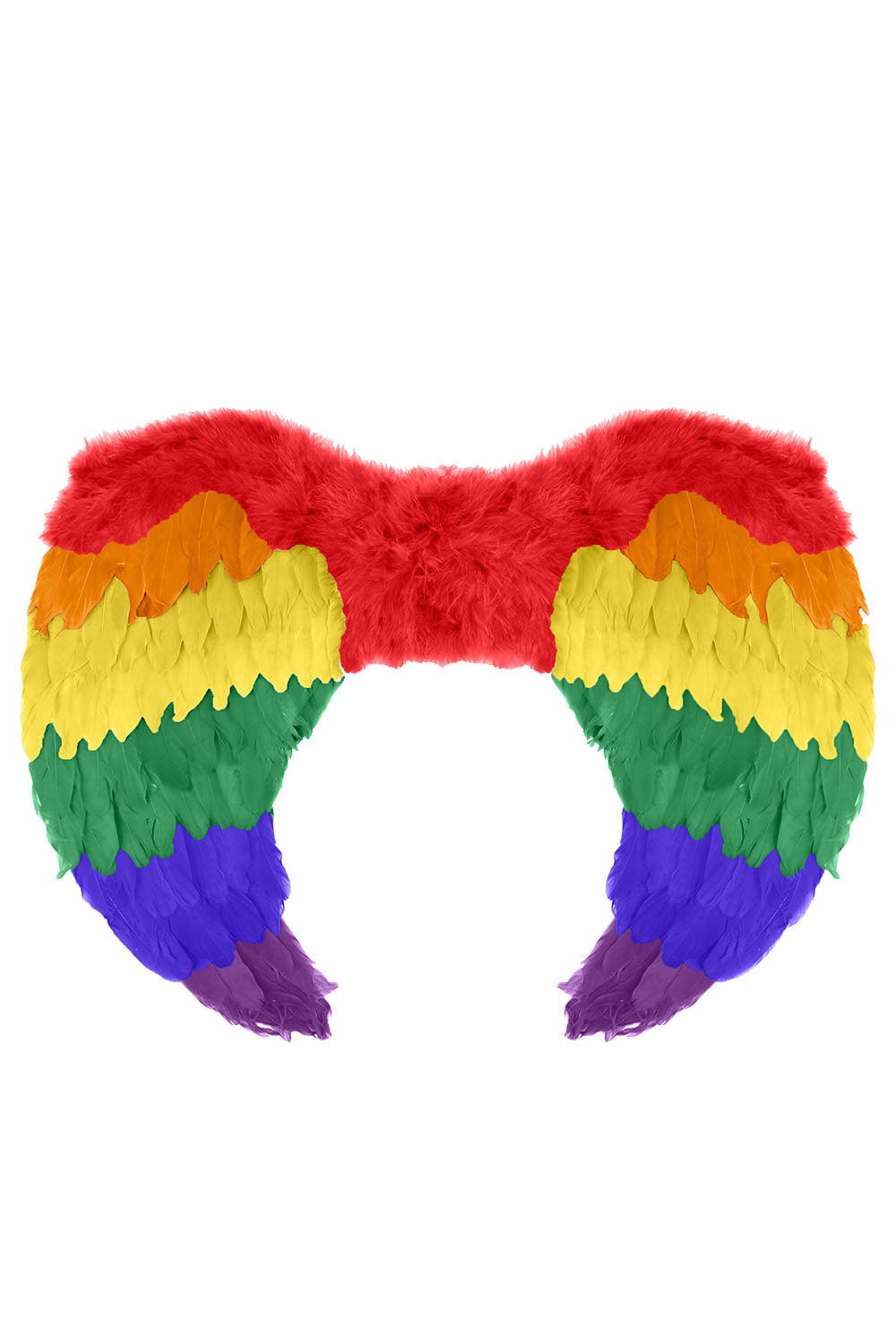 Rainbow Foldable Angel Feather Wings large (80 x 60 cm)