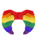 Rainbow Foldable Angel Feather Wings Small (55 x 40 cm)