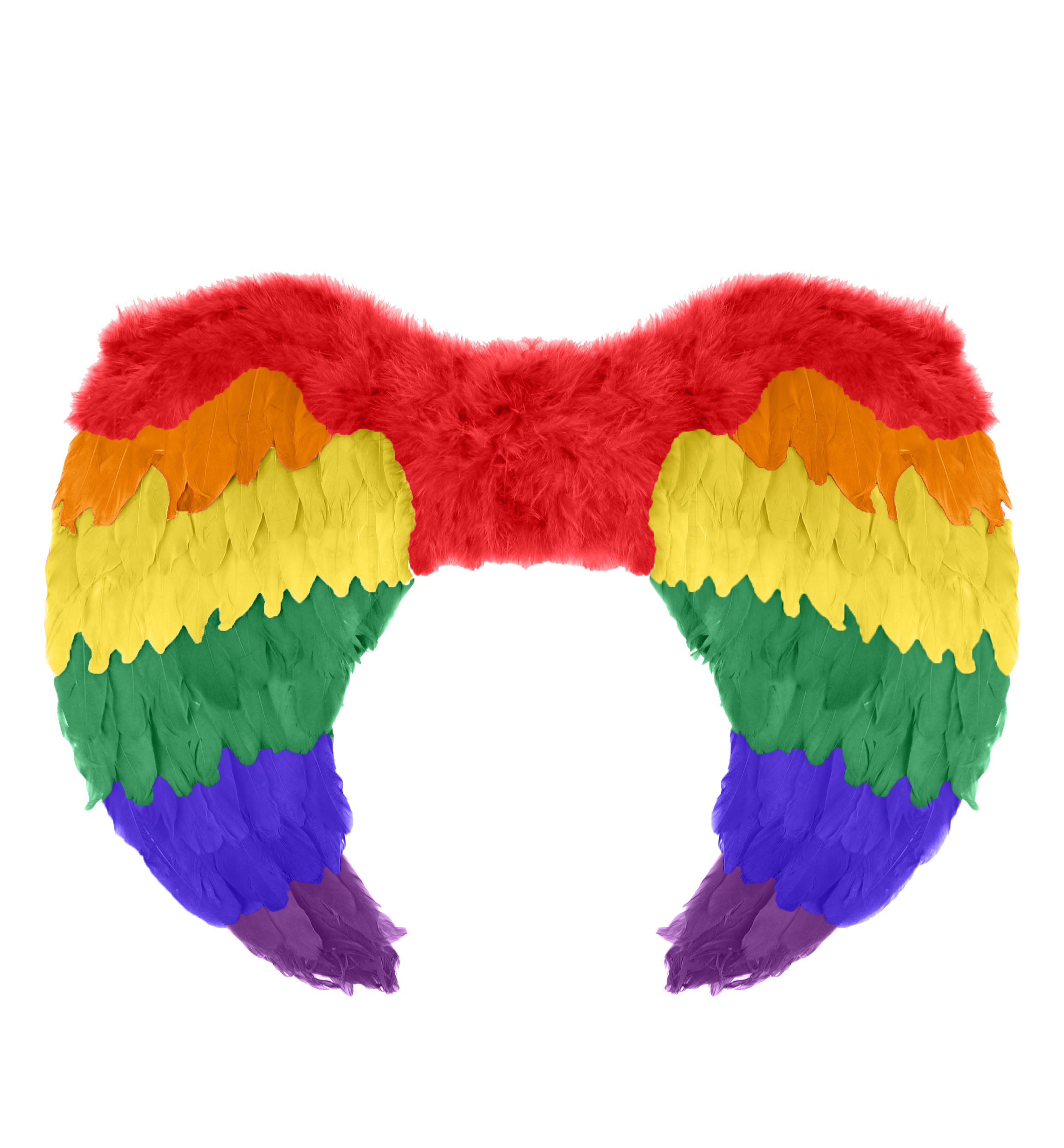 Rainbow Foldable Angel Feather Wings Small (55 x 40 cm)