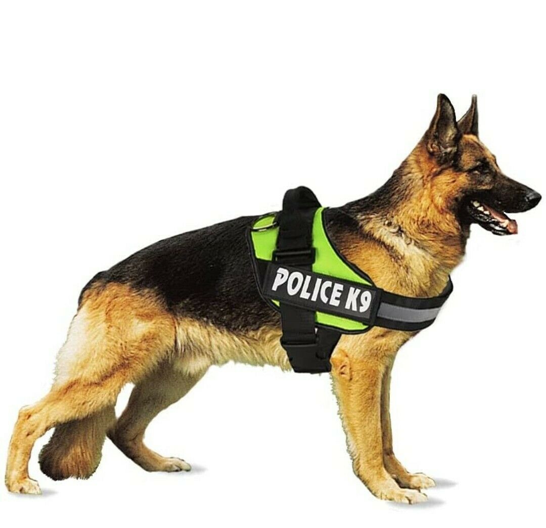 Police K9 Dog Harness Multi Colours Dog Harness Small Assorted Colours 6462S / K9S