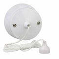 Status 6 Amp 2 Way Bathroom Toilet Light Ceiling Pull Cord Switch PIF20147/SCS6AWPB3 A