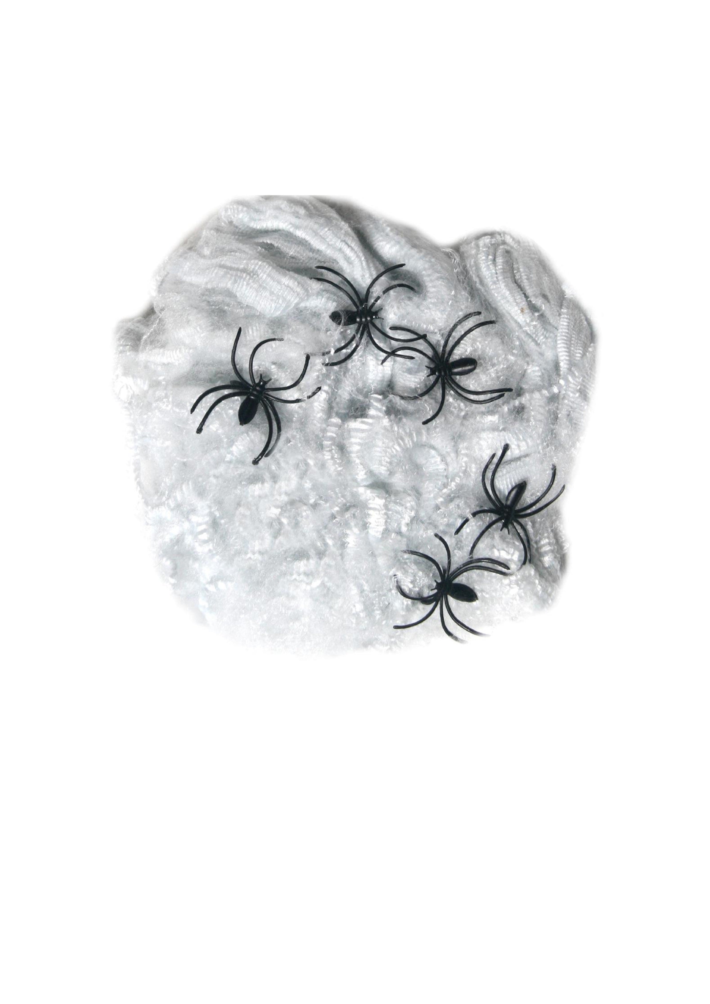 Wickedfun White Spiders Web (40g) with 5 Plastic Spiders