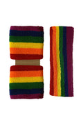 Wickedfun Rainbow Towelling Headband/Wristband Set
